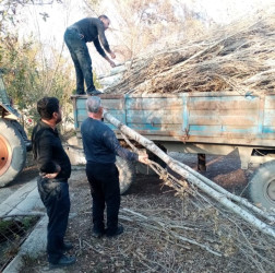Şəhid anasının müraciəti təmin olundu
