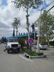 Tərtər şəhəri ərazisində iməclik aksiyası keçirilib