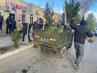Tərtərdə 20 yanvar faciəsinin 35-ci il dönümü ilə əlaqədar  ağacəkmə aksiyası keçirilib