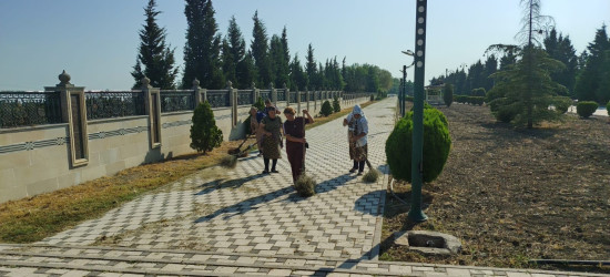 Tərtər şəhəri ərazisində iməclik aksiyası keçirilib