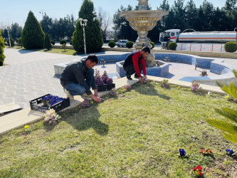 Tərtərdə “Heydər Əliyev İli” çərçivəsində silsilə tədbirlər davam etdirilir