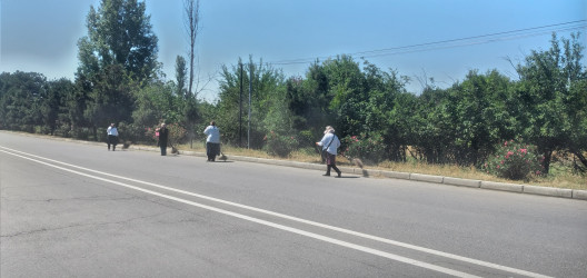 Tərtər şəhəri ərazisində iməclik aksiyası keçirilib