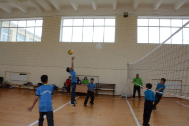 Ümummilli Lider Heydər Əliyevin anadan olmasının 103-cü ildönümünə həsr olunmuş voleybol yarışı keçirilib