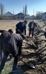 Tərtərdə "Yaşıl dünya naminə həmrəylik ili" çərçivəsində növbəti ağacəkmə aksiyası Borsunlu kəndi ərazisində keçirilib