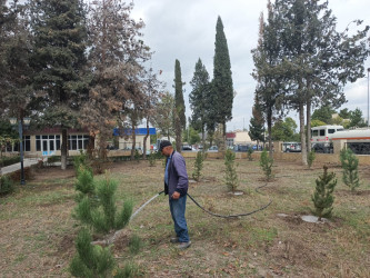 Tərtər şəhəri ərazisində növbəti iməclik aksiyası keçirilib
