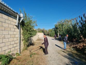 Tərtər şəhərin küçələrində təmizlik işləri aparılıb