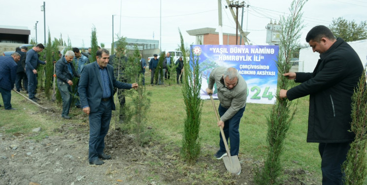 Tərtərdə "Yaşıl dünya naminə həmrəylik ili" çərçivəsində ümumrayon ağacəkmə aksiyası keçirilib