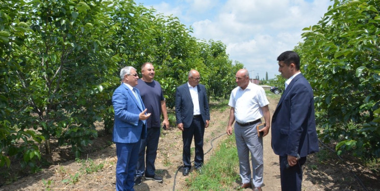 Tərtər Rayon İcra Hakimiyyətinin başçısı "Tərtər 1" MMC-nin intensiv meyvə bağları və müasir suvarma infrastrukturu ilə tanış olub