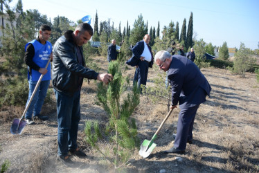 Tərtərdə Yeni Azərbaycan Partiyasının təsis edilməsinin 33-cü ildönümü münasibətilə ağacəkmə aksiyası keçirilib