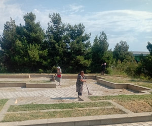Tərtər şəhəri ərazisində iməclik aksiyası keçirilib