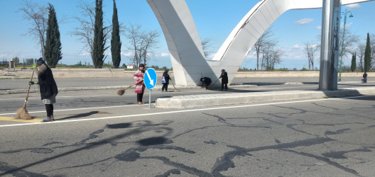 Tərtər şəhəri ərazisində iməclik aksiyası keçirilib