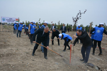 Yeni Azərbaycan Partiyasının təsis edilməsinin  30 illiyi ilə əlaqədar Tərtərdə  ağacəkmə aksiyası keçirilib