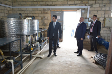 Tərtərdə “Frutti Aqro” MMC tərəfindən yeni salınmış intensiv meyvə bağına baxış keçirilib