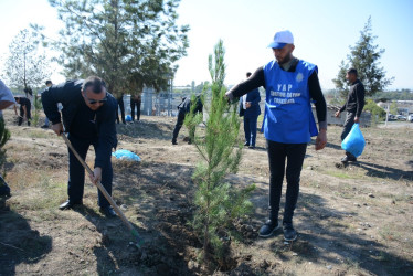 Tərtərdə “Konstitusiya və Suverenlik İli” çərçivəsində 27 sentyabr Anım gününün beşinci ildönümü ilə əlaqədar ağacəkmə aksiyası keçirilib