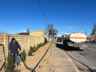 Tərtərdə 31 Dekabr – Dünya Azərbaycanlılarının Həmrəyliyi Günü münasibətilə ağacəkmə aksiyası keçirilib