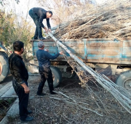 Şəhid anasının müraciəti təmin olundu