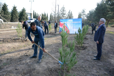 Tərtərdə “Konstitusiya və Suverenlik İli” çərçivəsində 8 Noyabr Zəfər Gününün beşinci ildönümü ilə əlaqədar növbəti ağacəkmə aksiyası keçirilib