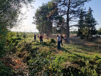 Tərtərdə avtomobil yollarının kənarları iməcilik yolu ilə təmzilənib