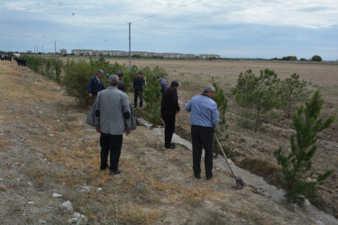 Tərtərdə 27 sentyabr-Anım Günü münasibəti ilə ağacəkmə aksiyası keçirilib