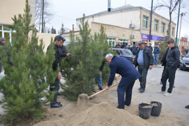 Tərtər şəhərində abadlıq-quruculuq işləri davam etdirilir, küçələr yenidən qurulur