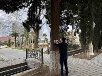 Tərtər rayonunda ictimai yerlərdə və parklarda tütünün sağlamlığa mənfi təsiri barədə təbliğat xarakterli materiallar yerləşdirilib