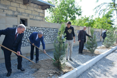 “Heydər Əliyev ili” çərçivəsində Tərtərdə növbəti ağacəkmə aksiyası keçirilib