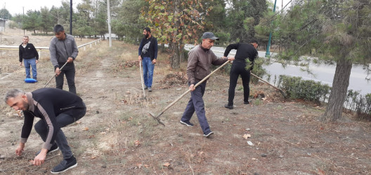 Tərtər şəhəri ərazisində növbəti iməclik aksiyası keçirilib
