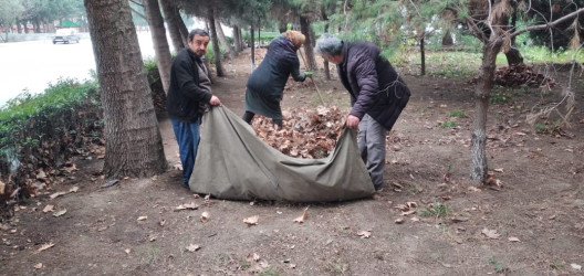 Tərtərdə "Yaşıl dünya naminə həmrəylik ili" çərçivəsində  iməclik keçirilib