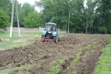 Tərtərdə “Bakı–Xankəndi” Azərbaycan velosiped yarışının keçiriləcəyi marşrut üzrə abadlıq işləri davam etdirilir