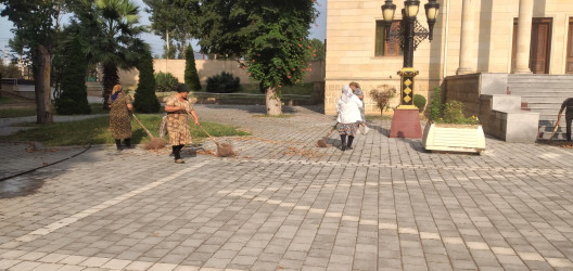 Tərtər şəhəri ərazisində iməclik aksiyası keçirilib