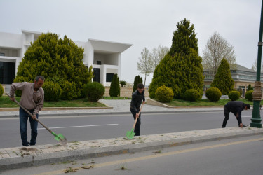 Tərtərdə “Heydər Əliyev İli” çərçivəsində növbəti iməcilik keçirilib