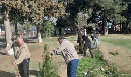 Tərtərdə "Yaşıl dünya naminə həmrəylik ili" çərçivəsində növbəti ağacəkmə aksiyası Borsunlu kəndi ərazisində keçirilib