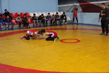 Tərtərdə sərbəst güləş üzrə rayon turniri keçirilib.