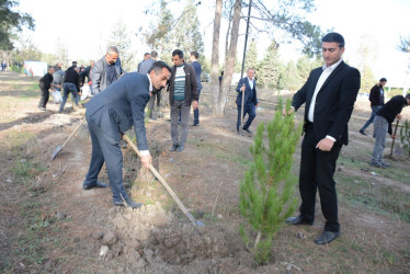 Tərtərdə “Konstitusiya və Suverenlik İli” çərçivəsində 8 Noyabr Zəfər Gününün beşinci ildönümü ilə əlaqədar növbəti ağacəkmə aksiyası keçirilib