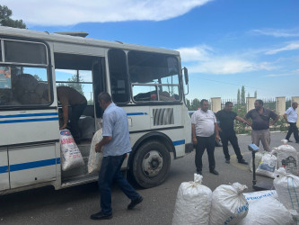 Tərtərdə barama tədarükünə başlanılıb