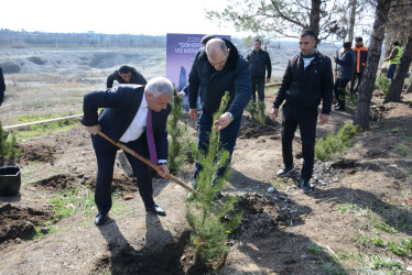 Tərtərdə “Şəhərsalma və Memarlıq İli” çərçivəsində növbəti ağacəkmə aksiyası keçirilib