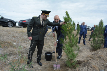 Tərtərdə 27 sentyabr-Anım Günü münasibəti ilə ağacəkmə aksiyası keçirilib