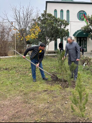 Tərtərdə Ulu Öndər Heydər Əliyevin anım günü ilə əlaqədar ağacəkmə aksiyası keçirilib