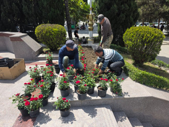 “Şəhərsalma və Memarlıq İli” çərçivəsində Tərtər şəhəri ərazisində gül və çiçək kolları əkilib