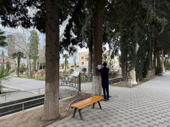 Tərtər rayonunda ictimai yerlərdə və parklarda tütünün sağlamlığa mənfi təsiri barədə təbliğat xarakterli materiallar yerləşdirilib