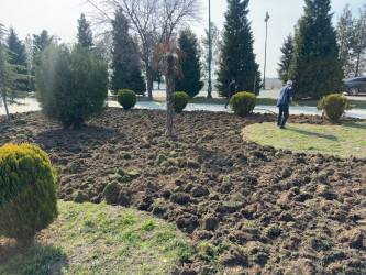 Tərtər şəhəri ərazisində iməclik aksiyası keçirilib