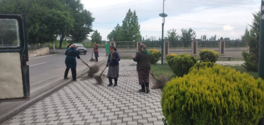 Tərtər şəhəri ərazisində iməclik aksiyası keçirilib