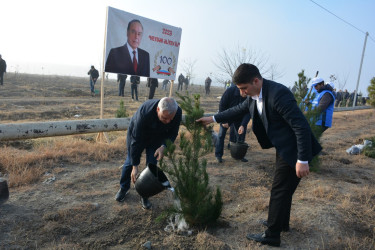 Tərtərdə Ulu Öndər Heydər Əliyevin anım günü ilə əlaqədar ağacəkmə aksiyası keçirilib