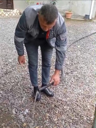 İcra başçısının səyyar qəbul görüşü zamanı qaldırılan məsələ öz müsbət həllini tapıb