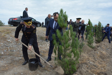 Tərtərdə 27 sentyabr-Anım Günü münasibəti ilə ağacəkmə aksiyası keçirilib