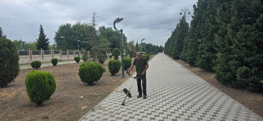 Tərtər şəhəri ərazisində növbəti iməclik aksiyası keçirilib