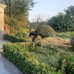 27 sentyabr Anım gününün beşinci ildönümü ilə əlaqədar rayon ərazisində şəhid məzarlarının və abidələrinin, baralyeflərin, şəkil lövhələrinin ətrafında təmizlik işlərinə başlanılıb
