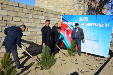 Tərtərdə 31 Dekabr – Dünya Azərbaycanlılarının Həmrəyliyi Günü münasibətilə ağacəkmə aksiyası keçirilib