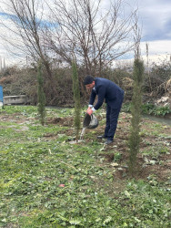 Əskipara kəndində ağacəkmə və təmizlik aksiyası keçirilib