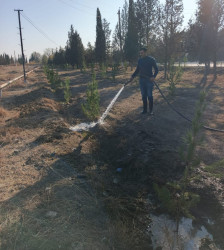 Tərtər şəhəri ərazisində növbəti iməclik aksiyası keçirilib